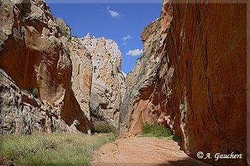 Sonne im Canyon